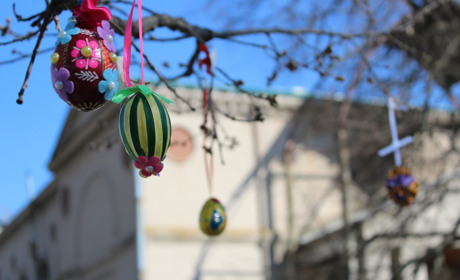 Діти Троїцької громади до Великодня прикрасили дуб громади оригінальними писанками