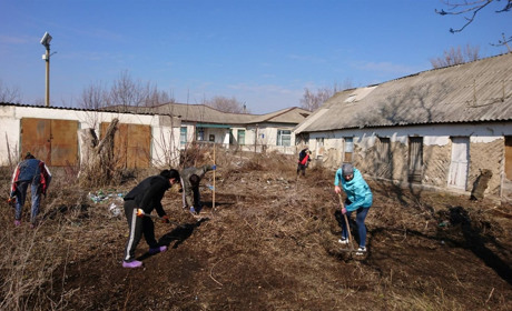 В Тимонівському старостинському окрузі тривають роботи з благоустрою парку та центрів сіл