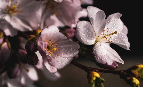 Основні новини травня: перевірка субсидіантів, відкриття кордонів, ЗНО та тарифи