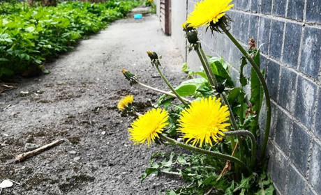 Теплий одяг не ховаємо: якою буде погода у перший тиждень травня