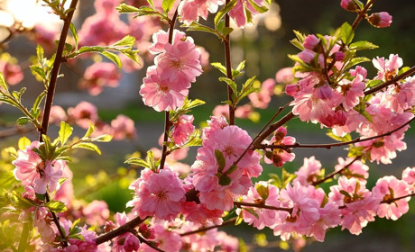 Місячний посівний календар на травень 2021 року