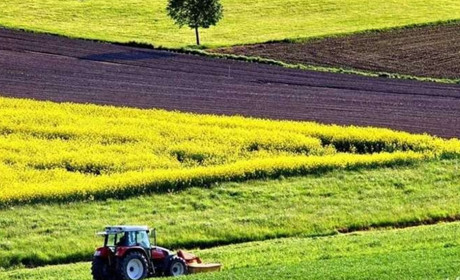 Про дарування земельної ділянки сільськогосподарського призначення: порядок оформлення