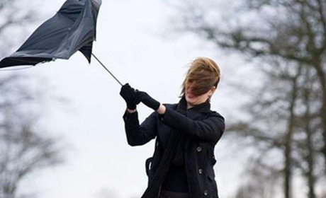 На Кагарличчину та Ржищівщину насувається сильний вітер: оголошено перший рівень небезпечності