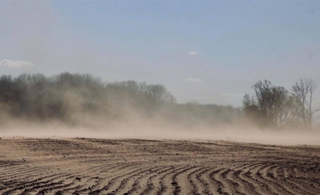 Календарна сірогозька весна та її «примхи»: температурні аномалії, пилові бурі, повені