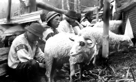 Юрія по-гуцульськи: традиції та вірування на Закарпатті