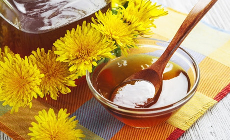 Проти астми, бронхіту й артриту. Мед із кульбаби: користь і рецепт приготування