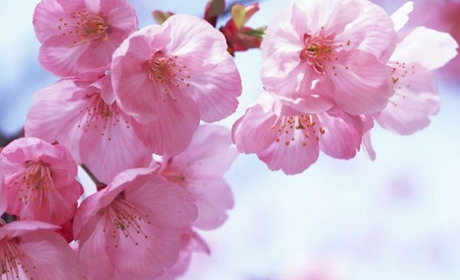 З теплих чобіт одразу в літні босоніжки: якою буде погода цього тижня на Гадяччині