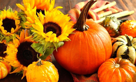 Гарбуз — цінний дієтичний продукт з лікувальними властивостями