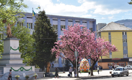 Не гірше Ужгорода чи Мукачева: у Рахові розцвіли сакури