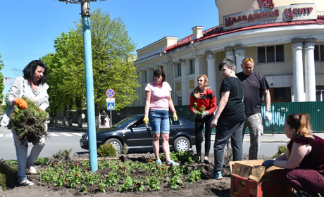 У центрі Новограда громадські активісти посадили 800 саджанців петунії