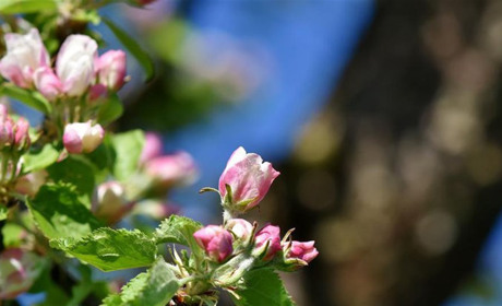 Якою буде погода на Кагарличчині та Ржищівщині 15 і 16 травня