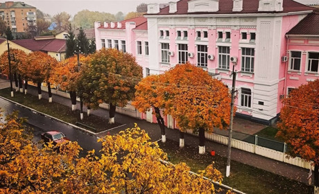 Кросворд: Історія Гадяча від заснування міста до наших часів