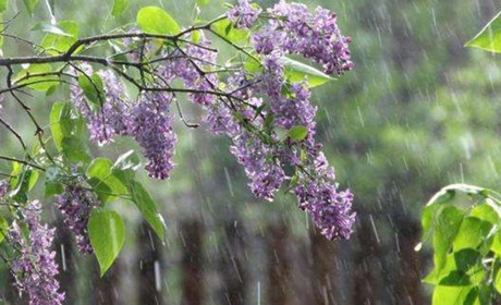 Прогноз погоди на тиждень: стабільна нестабільність