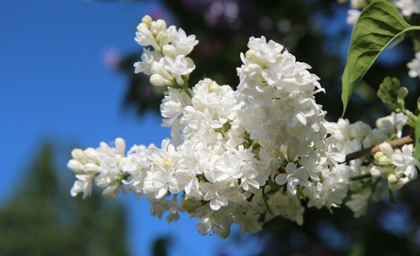 Погода на 17-23 травня: очікуються грозові дощі і магнітні бурі