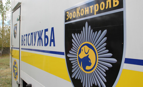 В Попасной планируют стерилизовать собак