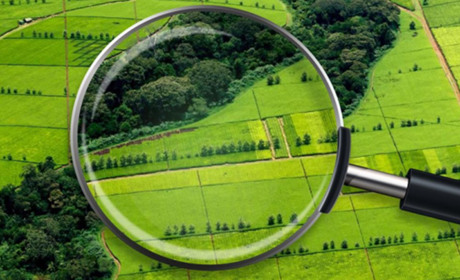 На Кіцманщині 139 га землі незаконно надано в оренду – прокуратура звернулась з позовом до суду