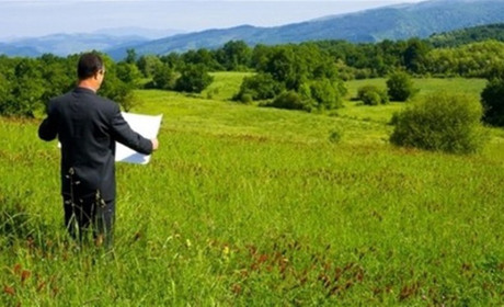 Землі поза межами населених пунктів передадуть у комунальну власність громад з 1 липня 2021