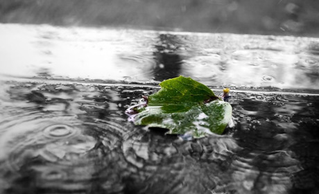 Погода на 24-30 травня: очікуються дощі і грози