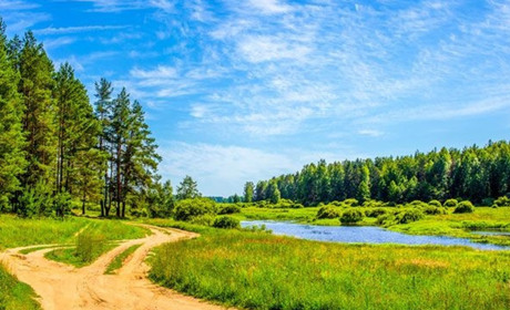 Метеорологічне літо: коли воно приходить і хто це фіксує