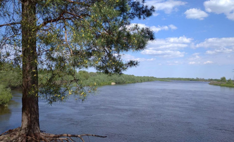 Пік весняного водопілля на Десні пройдений. Міський пляж готують до пляжного сезону