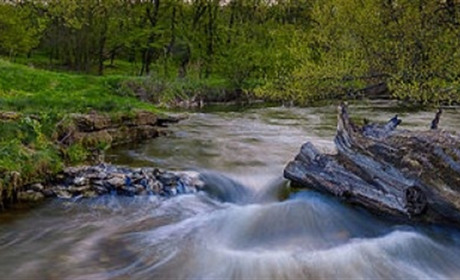 Фотографів запрошують до участі у міжнародному конкурсі: стартує українська частина Wiki Loves Earth