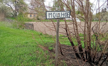 Малі села Менщини. Мощне: тиша, спокій, чудова природа, Десна