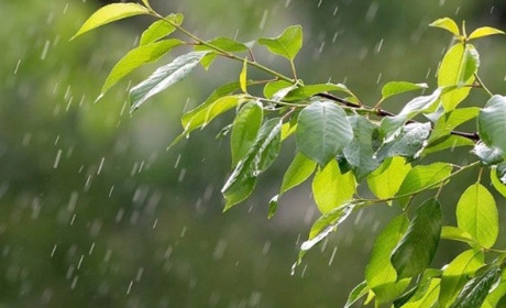 Якою буде погода на Кагарличчині та Ржищівщині 29 і 30 травня