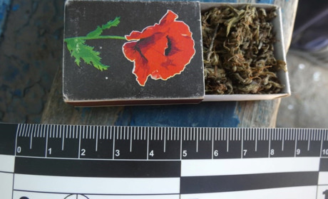 Луганські поліцейські задокументували чотири наркозлочини за добу