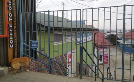 Бізнес в умовах пандемії: як вплинув карантин на доходи та збитки підприємців