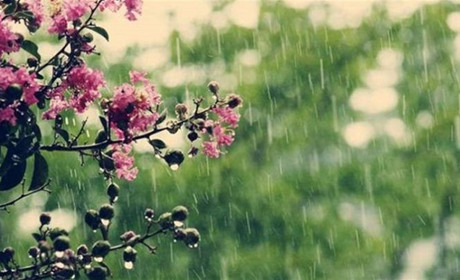 Прогноз погоди на тиждень: в перші дні літа на Гадяччині стане прохолодніше і дощитиме