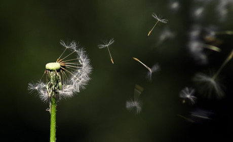 Погода на 31 травня - 6 червня: яким буде початок літа