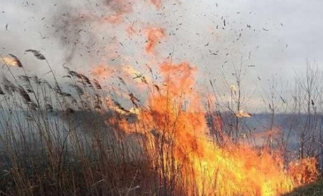 На тижні троїцькі рятувальники загасили одну пожежу: горів очерет та суха трава