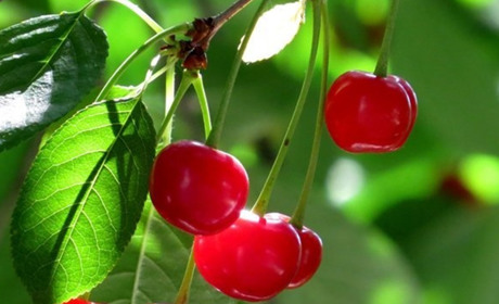 Тарифи на електроенергію, пенсії, кордони та закінчення ЗНО: які зміни чекають на українців у червні