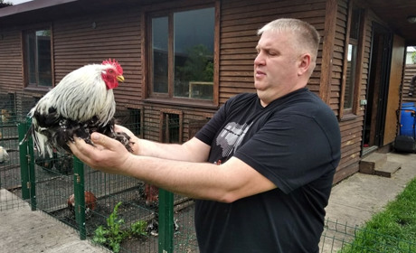 Пташиний зоопарк: Олег Кур’євич утримує вдома унікальні породи курей, голубів та папуг