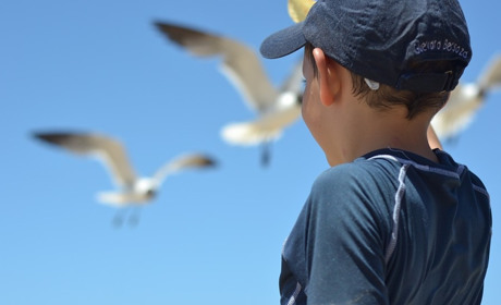 Путівки на оздоровлення дітей за рахунок бюджету: хто має право отримати