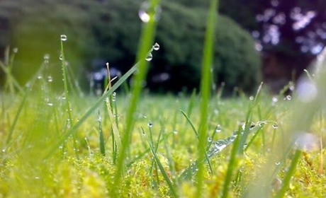 Погода в Кагарлику та Ржищеві з 14 по 20 червня