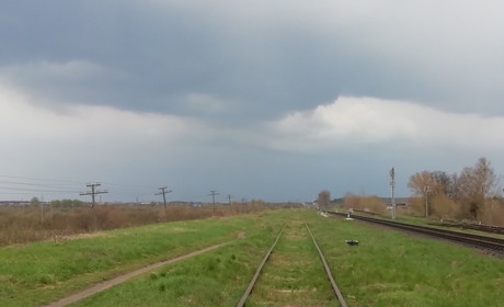 Періодичні дощі, невелика хмарність та +28°C — тижневий прогноз погоди на Сарненщині