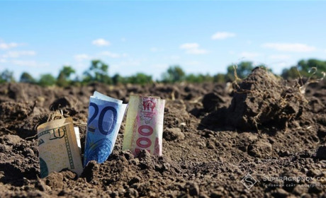 Продаж землі в Україні після 1 липня 2021 року: що варто знати