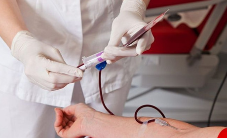 Чи забороняє Церква донорство і трансплантацію органів?