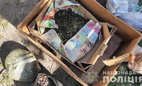 Полкило канабиса хранил житель Акимовки