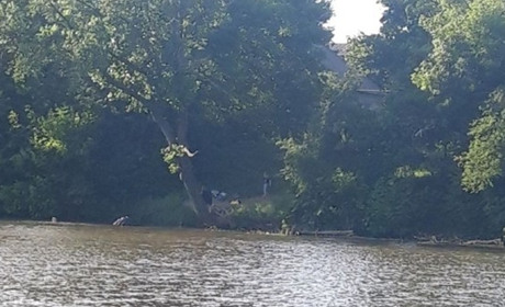 У Волновасі на водоймі загинув підліток