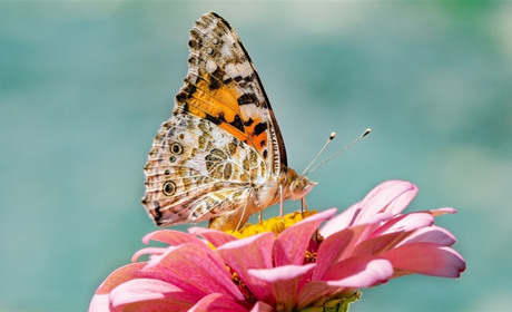 +34 та без опадів: прогноз погоди у Гадячі на тиждень