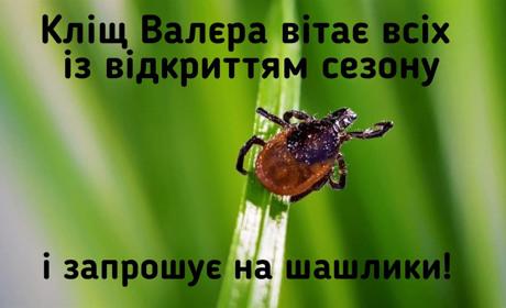Про «кліща Валєру» й те, як довго може приховувати симптоми хвороба Лайма: розповідає інфекціоністка