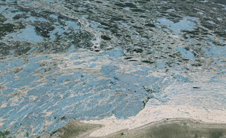 В обіймах ціанобактерій: Каховське водосховище цвіте. Чим загрожує купання в такій воді?