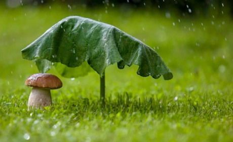 Прогноз погоди на тиждень: «мінливий настрій» цьогорічного літа