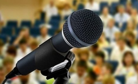 30 червня пройдуть громадські слухання по безпритульних собаках