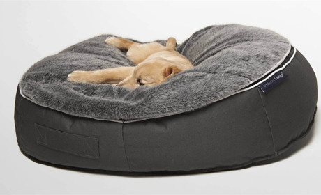 Лежак для щенков: как обустроить спальное место