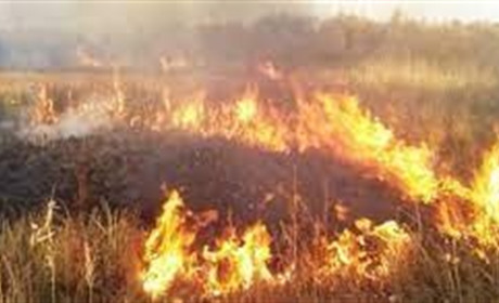 В Троїцькому розпочалась підготовка до безпечних жнив