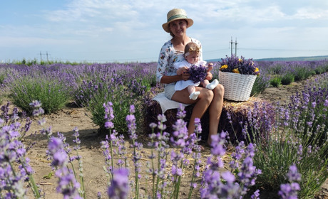 На лавандовому полі в Шишківцях можна прогулятися і сфотографуватися безкоштовно
