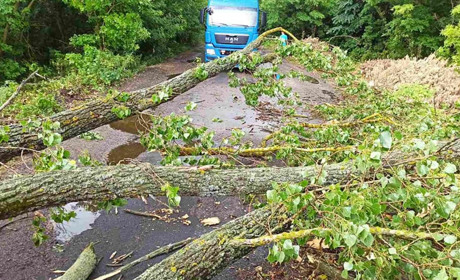 Гадячани без світла і води: наслідки негоди на Гадяччині